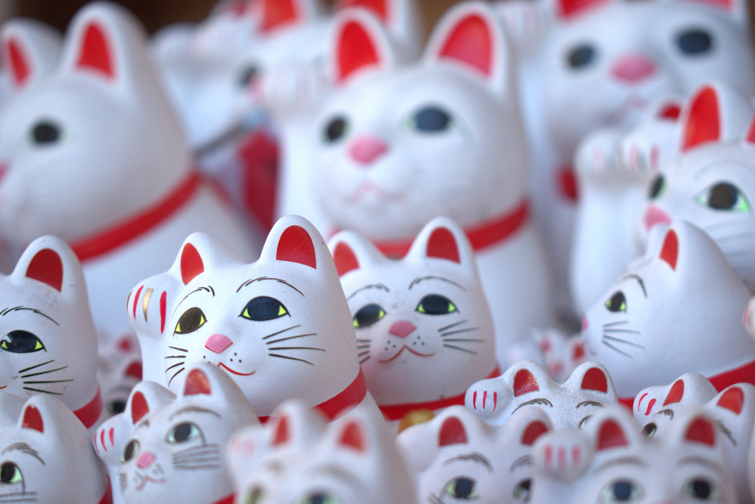 Ceramic white lucky cats at the Gōtokuji Temple, Japan, 2024: Nikon D3500 24.2MP DSLR