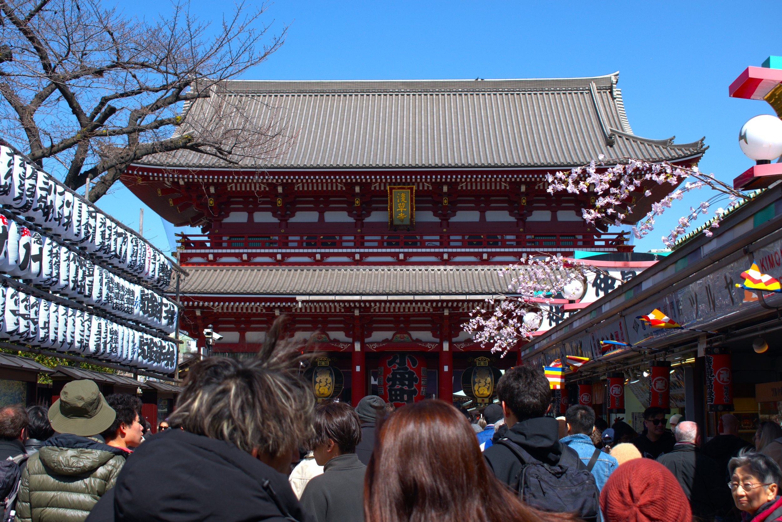 Front Gate, Sensoji Golden Dragon Dance, Japan, 2024: Nikon D3500 24.2MP