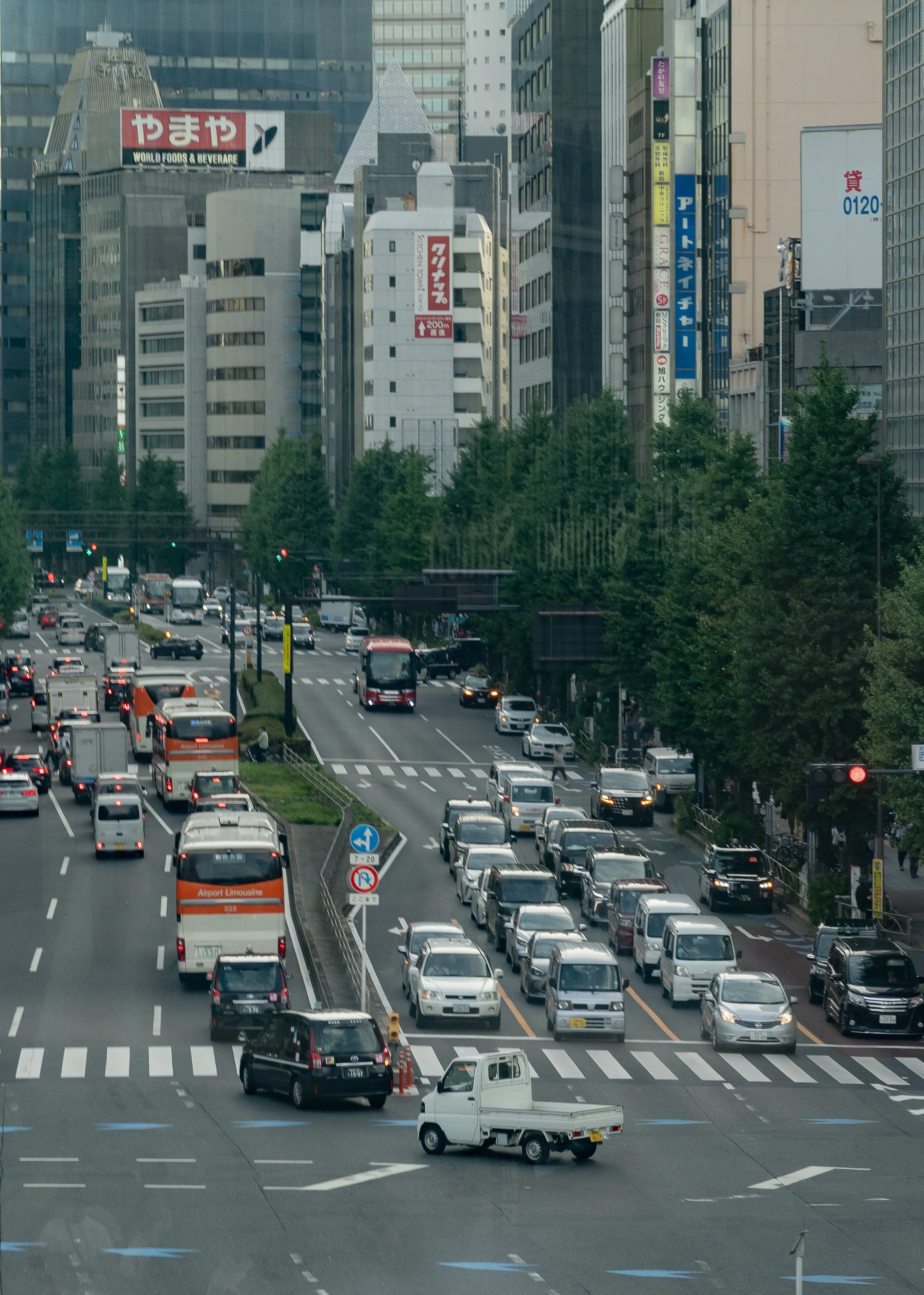 Japan SZN 2 PT 2 (267 of 268).jpg