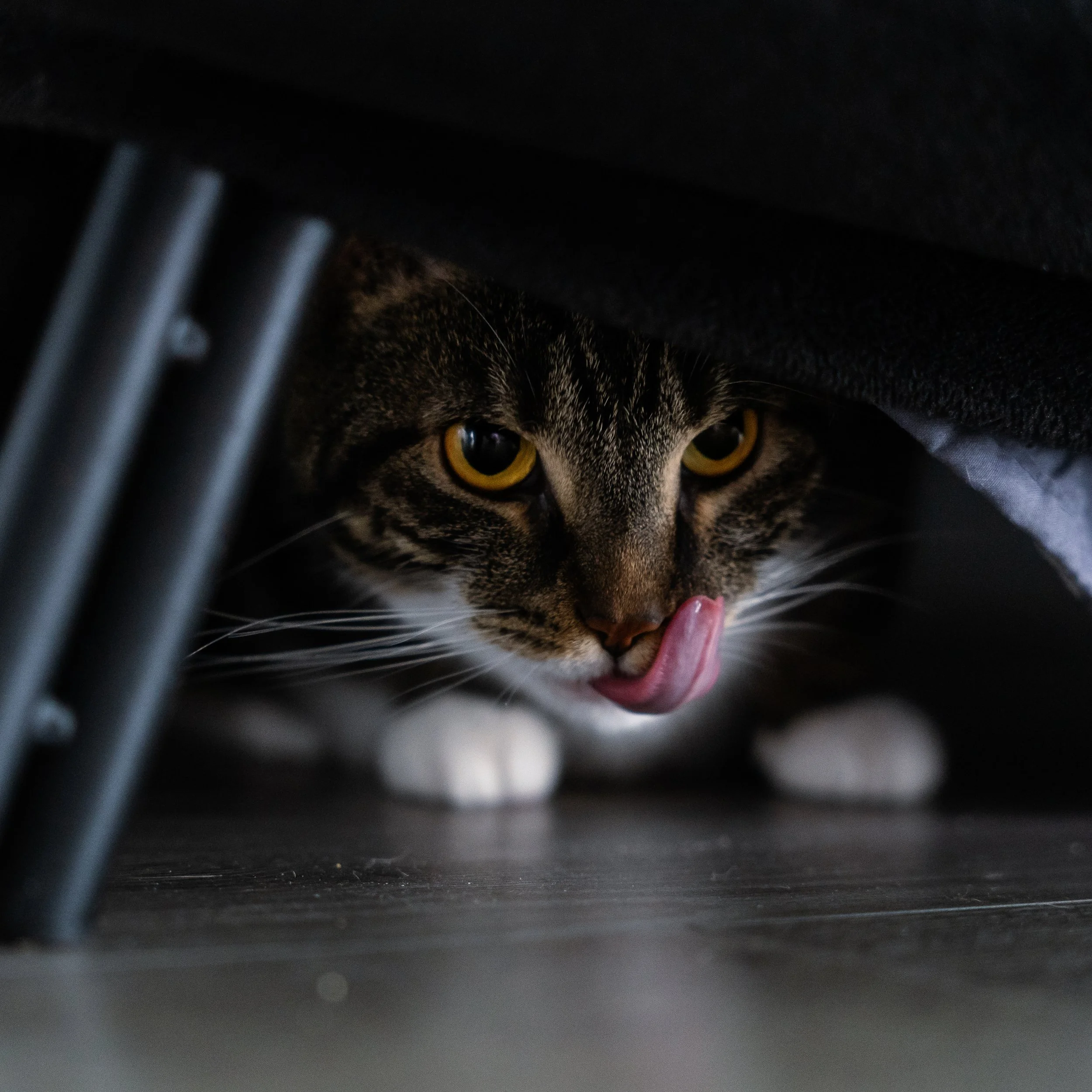 SAM'S_EDITS (3 of 50).jpg