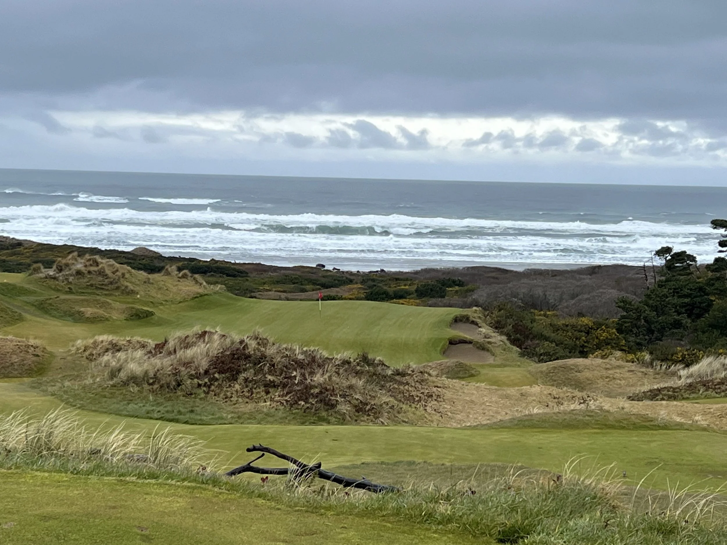 Bandon Preserve