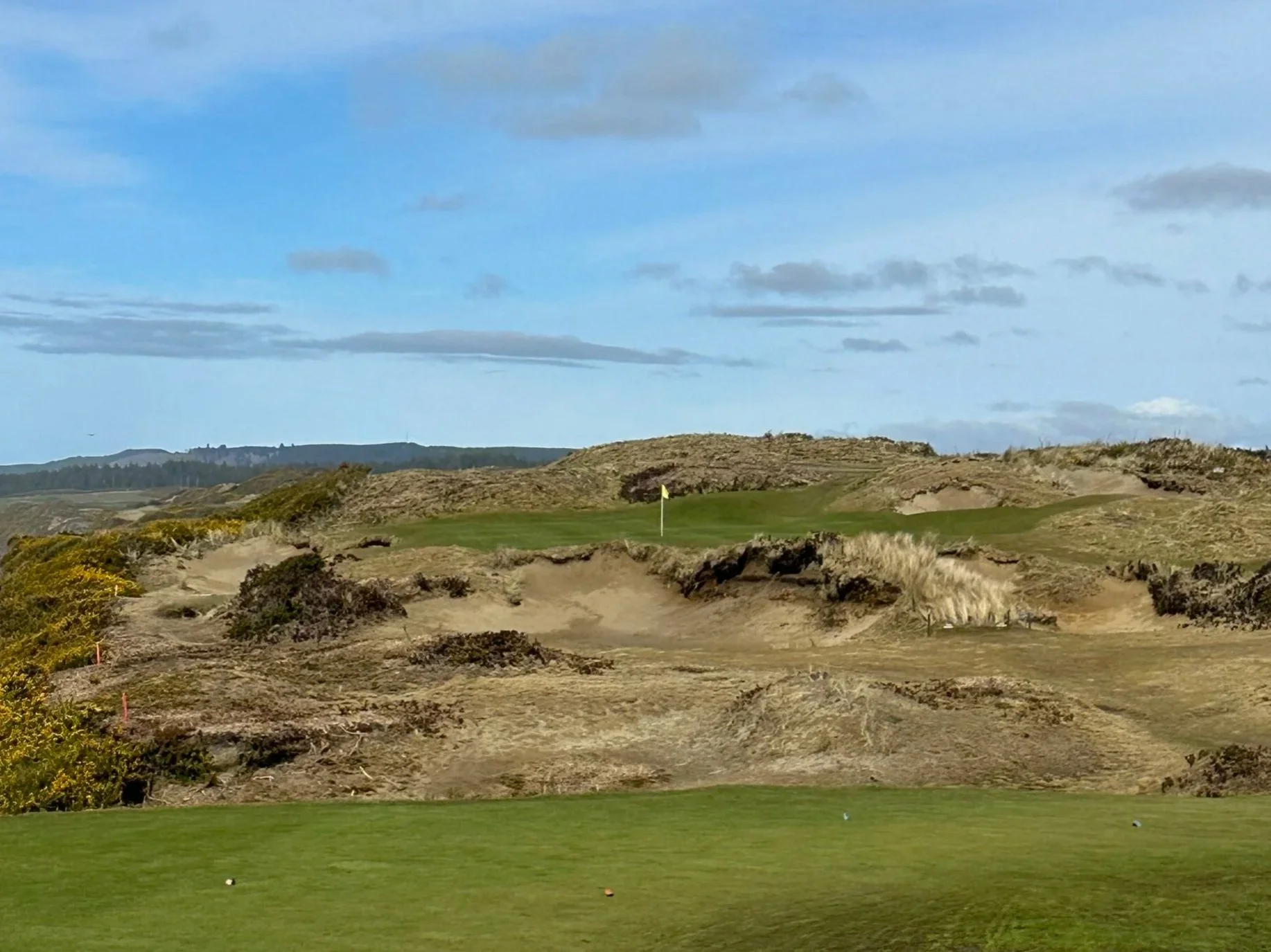Pacific Dunes