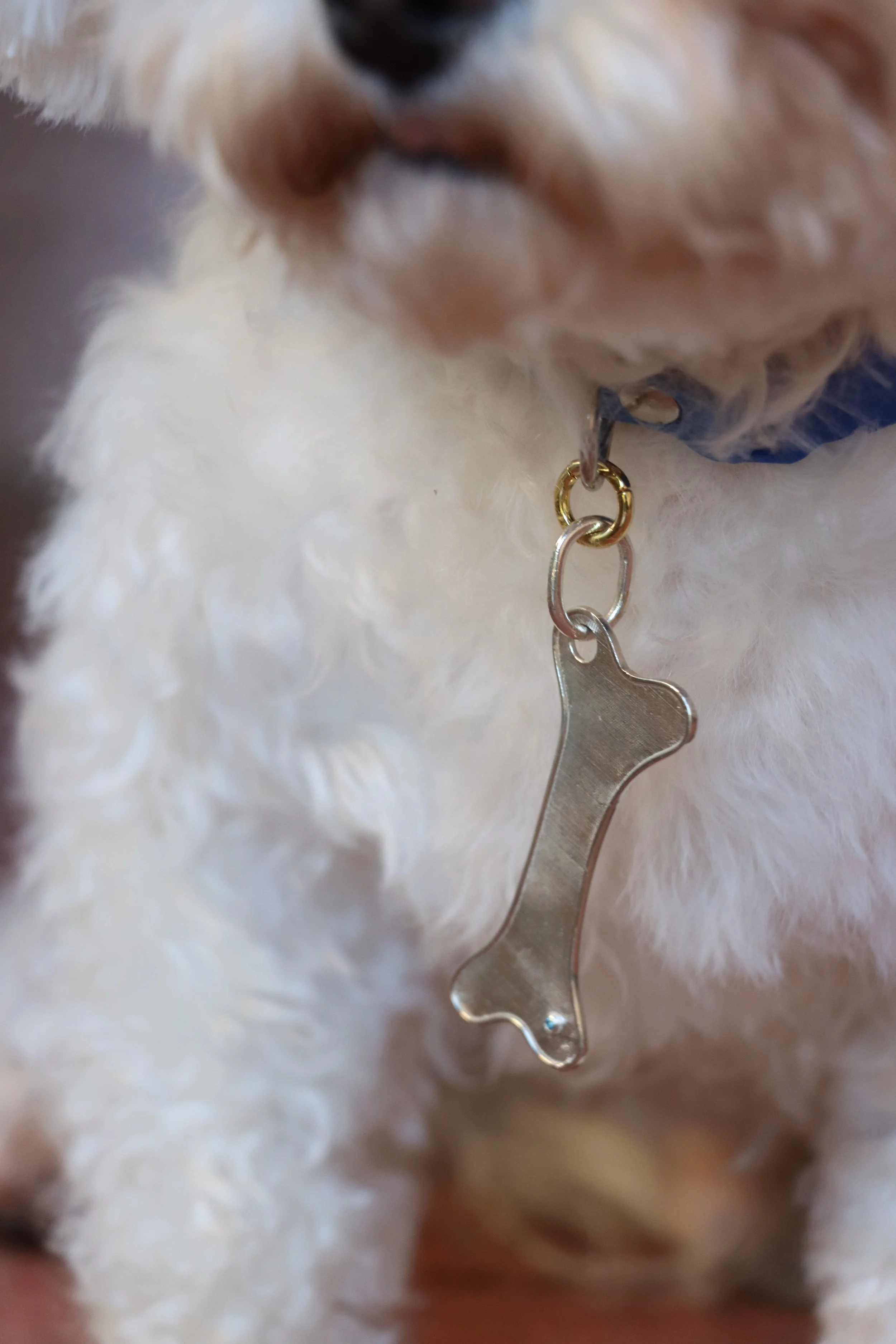 whisker-and-gem-luxury-jewelry-custom-dog-tags-charms-sterling-silver-14k-gold-gemstones-bone-dog-tag.jpg.jpg