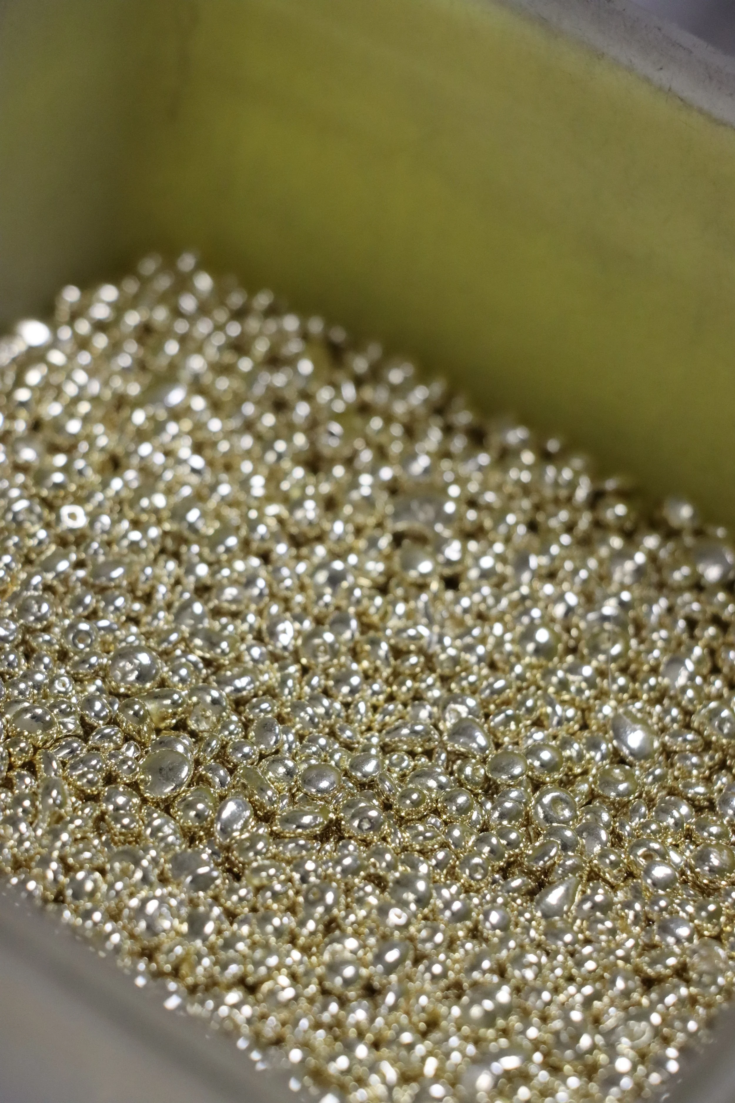 Green box containing a dog tag with two phone numbers and a small card with a paw print and the words 'love a'.