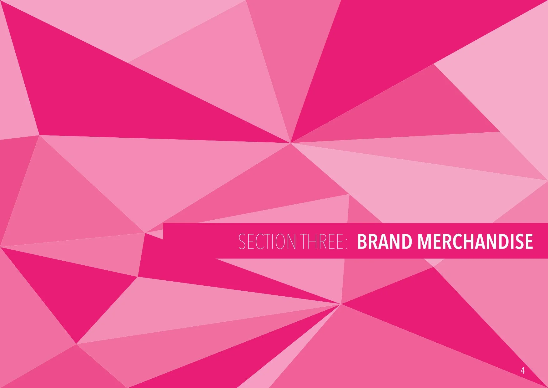 SVBrand_Stand_issuu_page_19.jpg