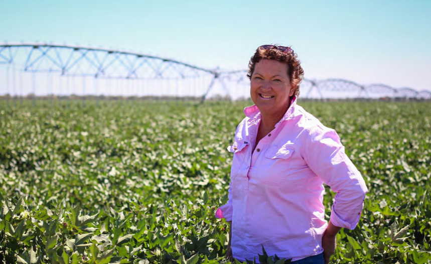 More sustainable cotton