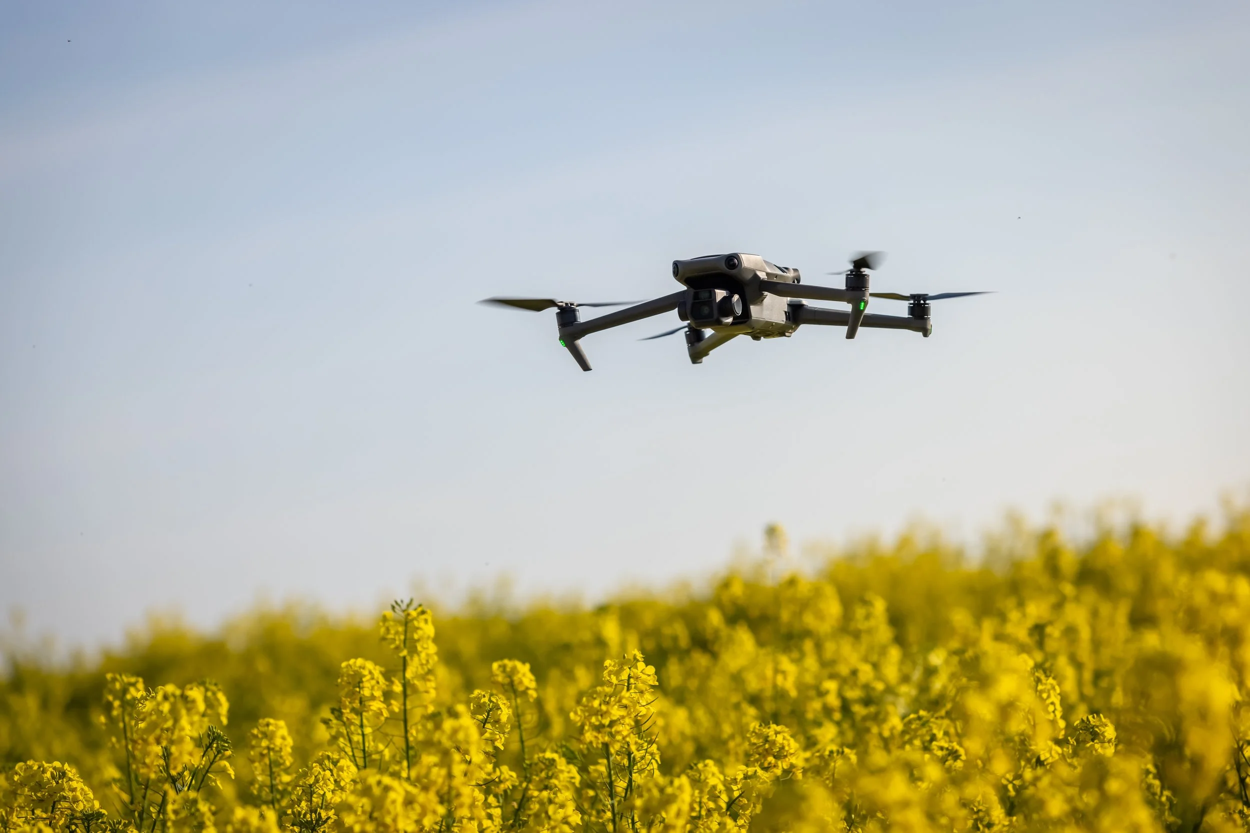 Worried AI is coming for your job? Agriculture is the career with room to grow