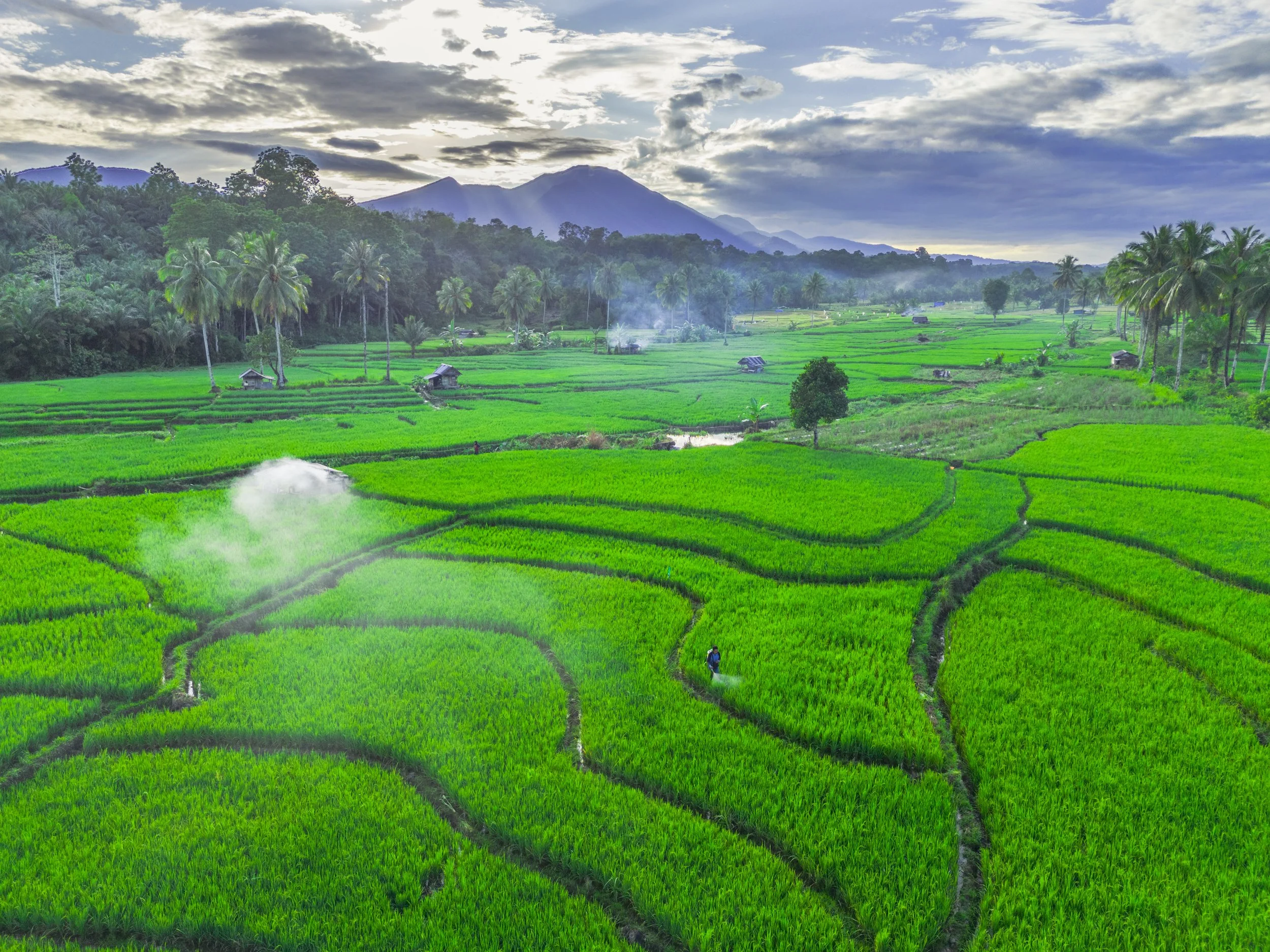 In a world where trust is everything, Indonesia is proof food and fibre is our strategic advantage