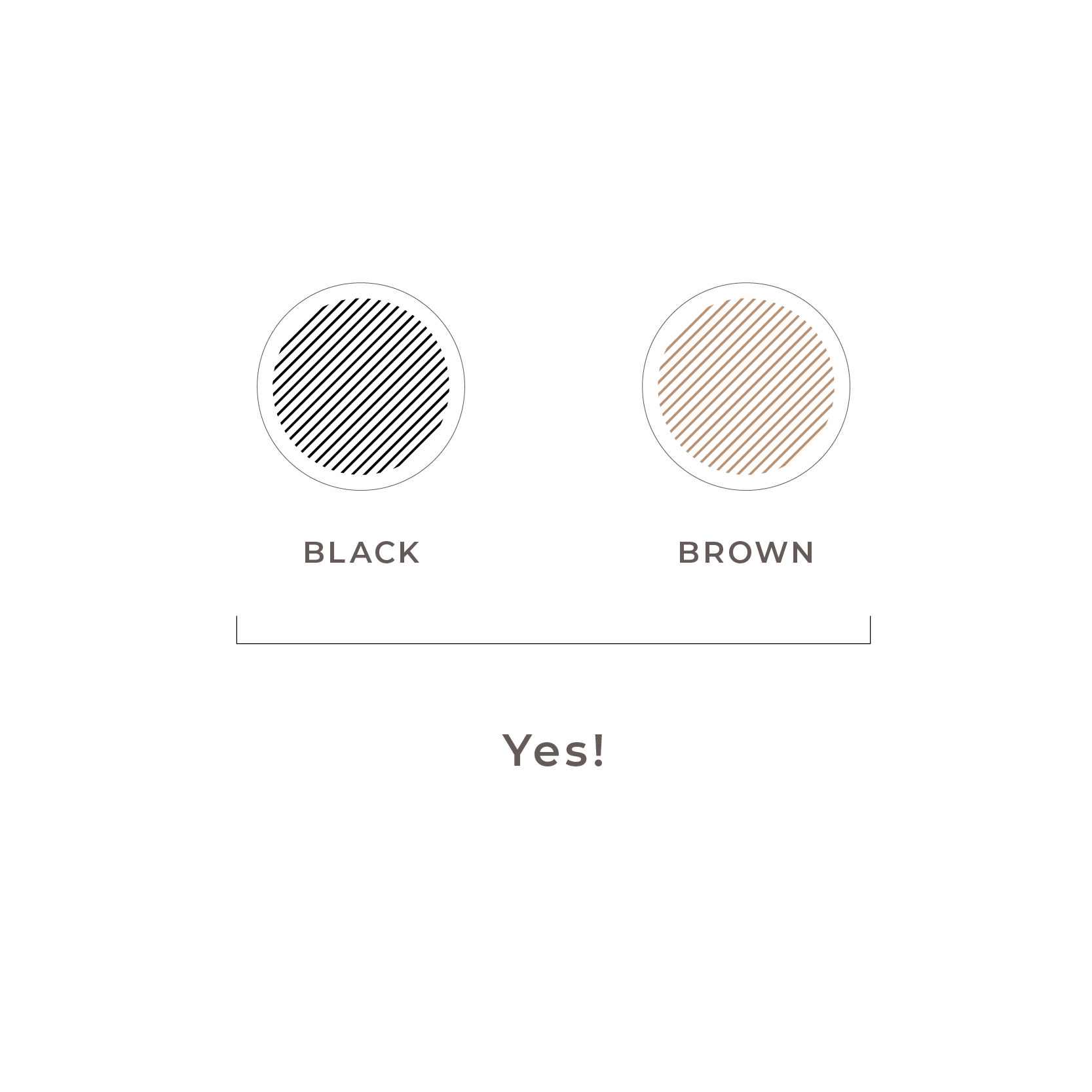 TheLasrLounge Website Mockup.png