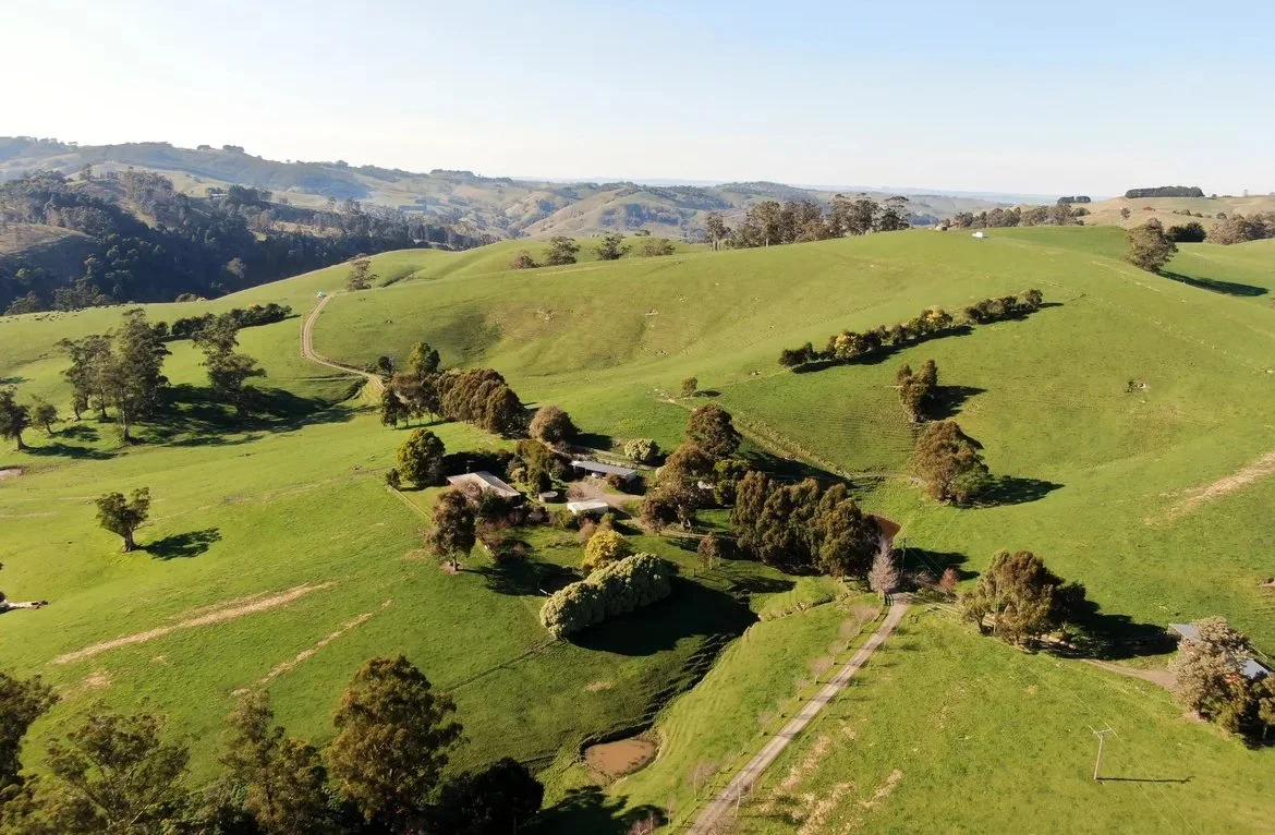 Buying in Regional South Gippsland