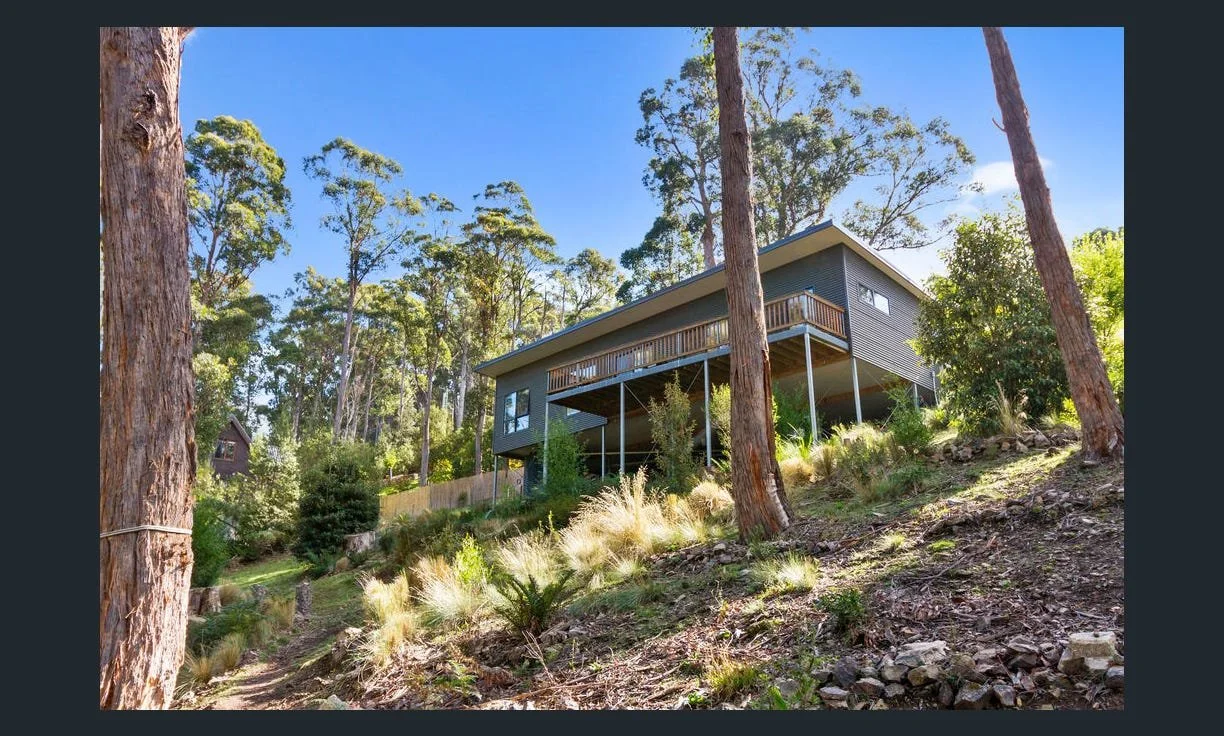 Fern tree steep site stilts.jpg