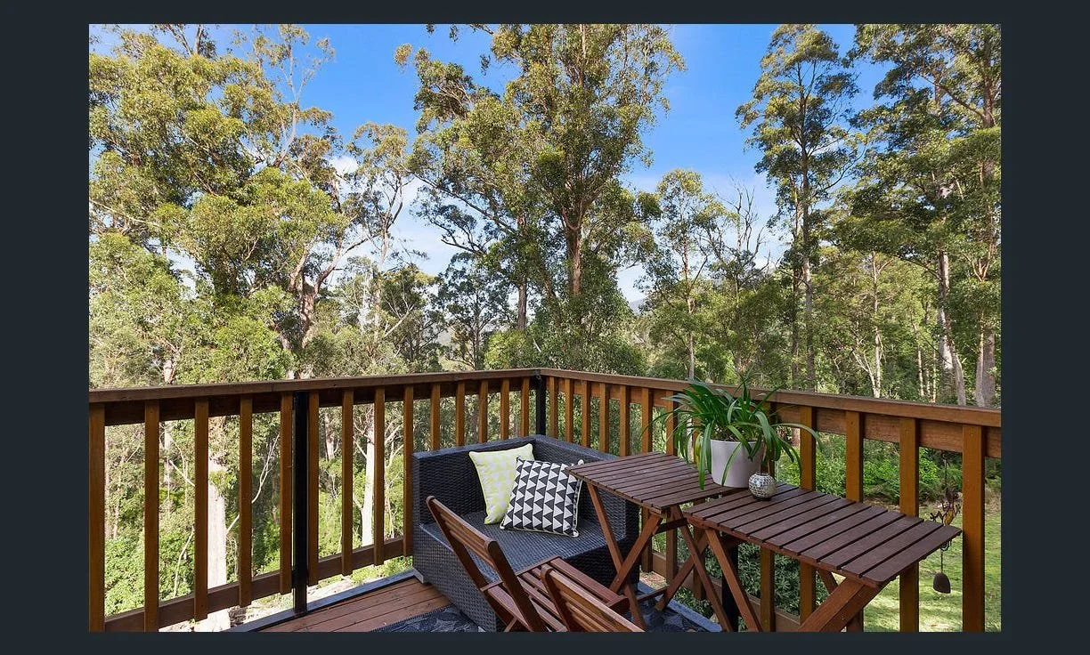 Fern tree deck.jpg