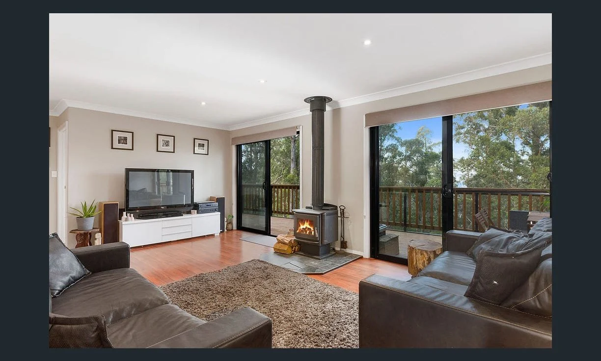 Fern tree living with woodheater.jpg