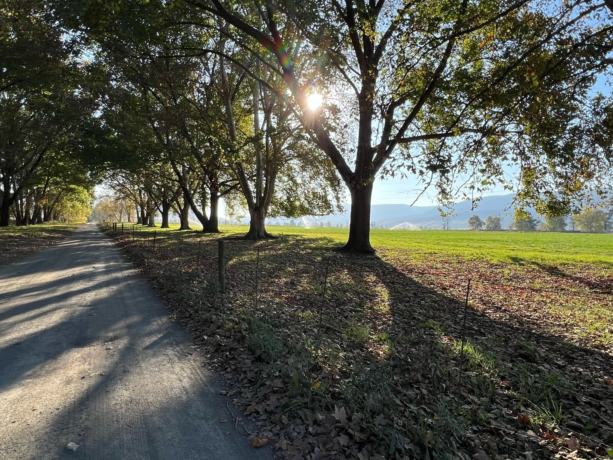 On the Farm_Driveway2.JPG