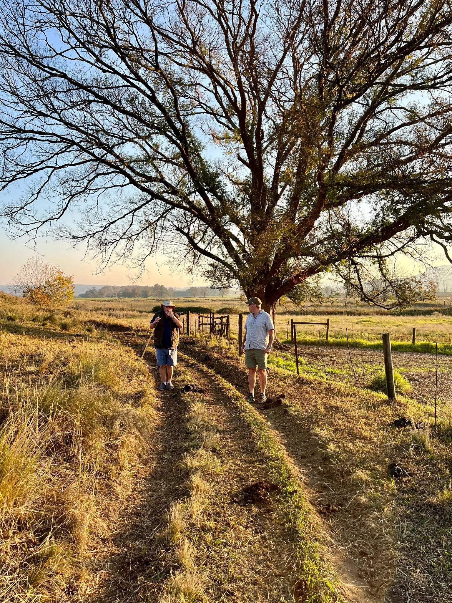 On the Farm_Walks.JPG