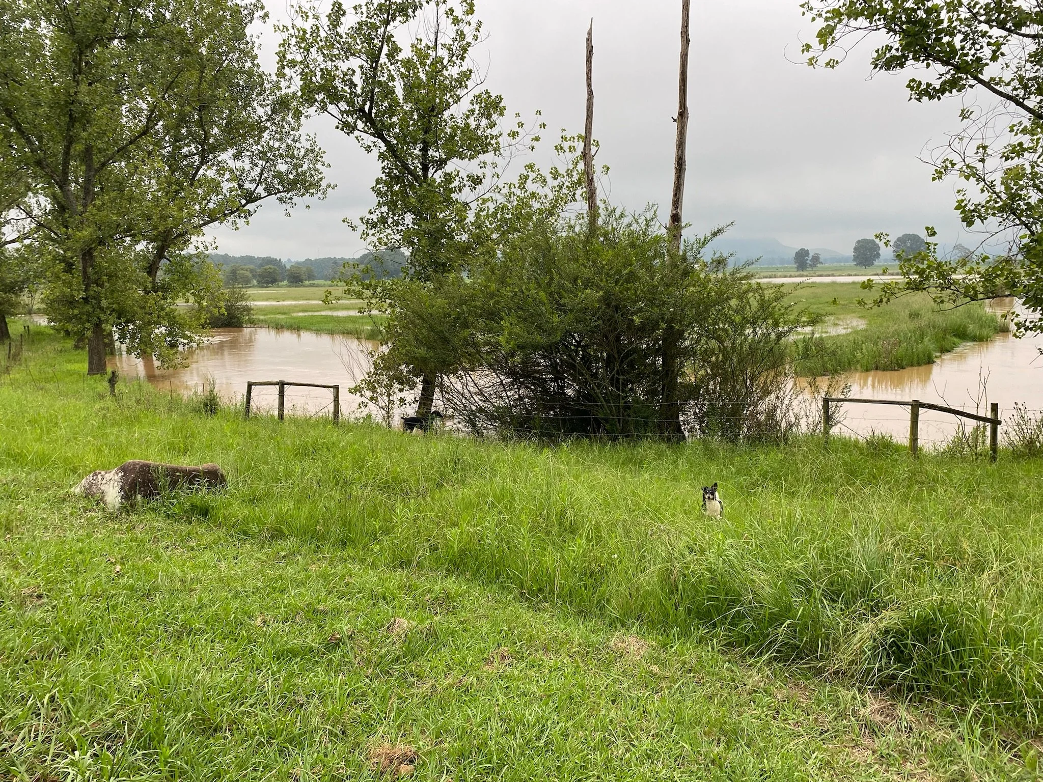 On the Farm_River2.JPG