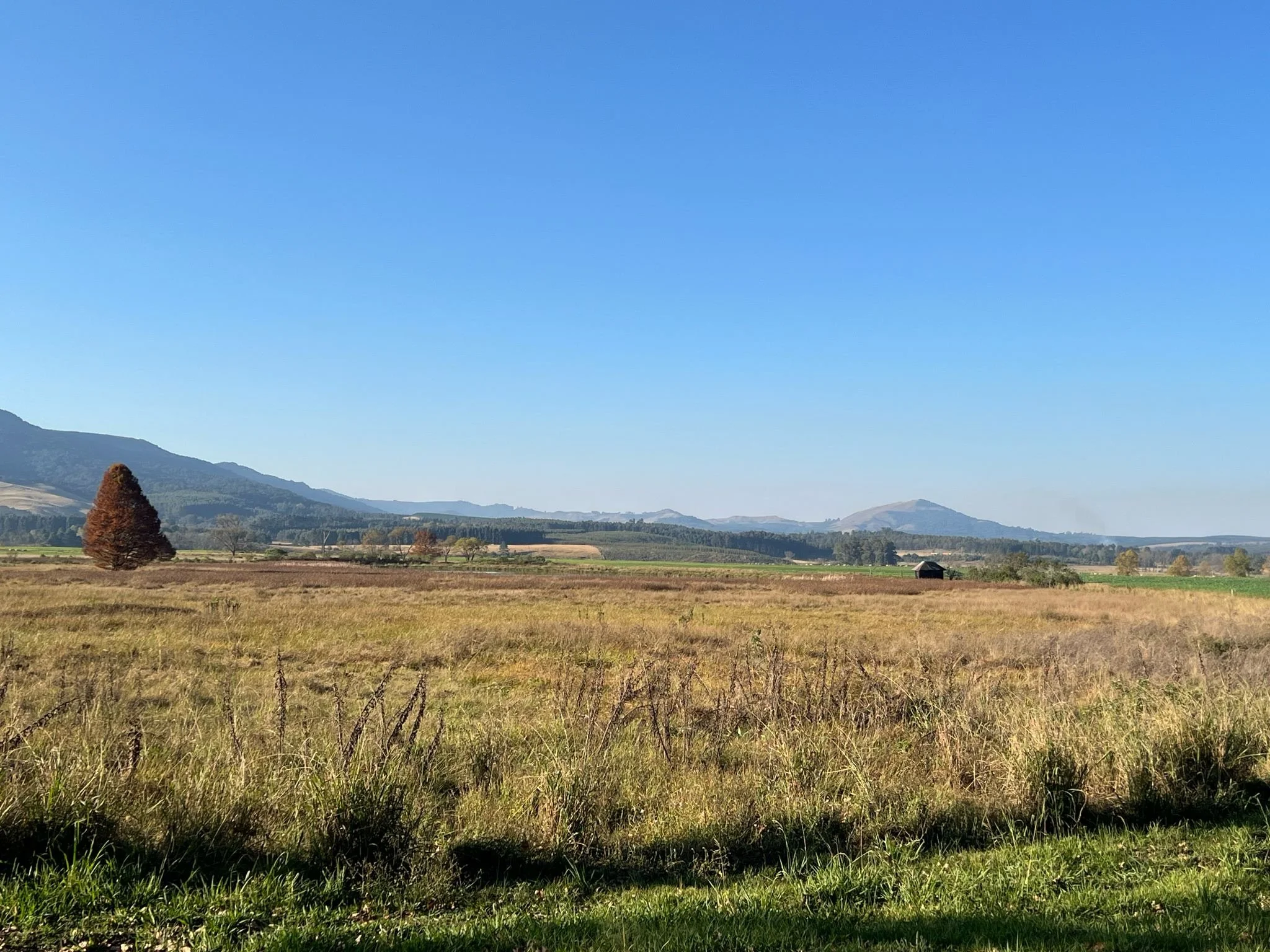 On the Farm_View.JPG