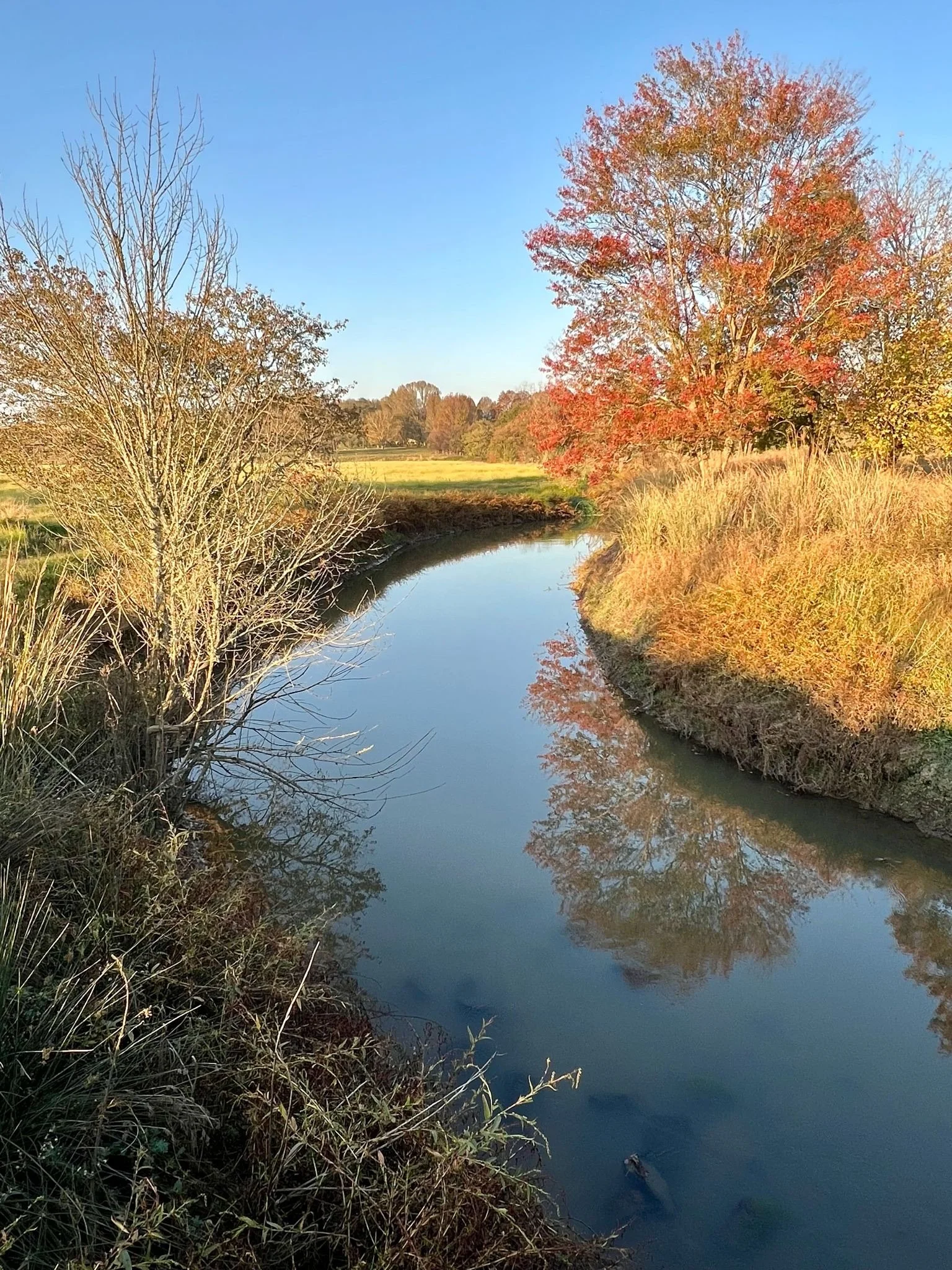 On the Farm_River.JPG