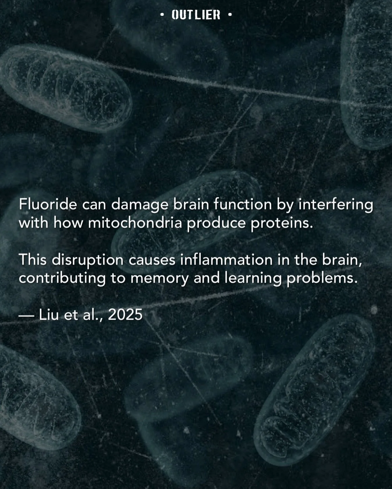 &ldquo;Fluoride exposure poses multi-organ toxicity, including skeletal fluorosis, dental fluorosis, neuroinflammation, and cognitive deficits.&rdquo;

Curcumin (the active compound in turmeric) can
help protect the brain by calming inflammation
and 