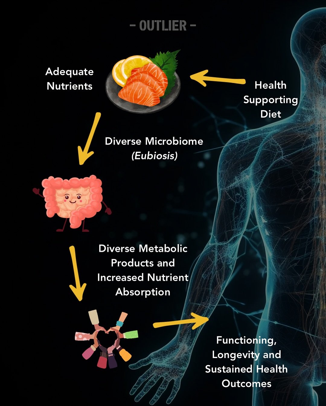 We talk in calories and think of healthy foods as thinning and unhealthy foods as fattening. But this is reductionist to redundancy. Conceptually it ignores the complex complexities of the human body.

Food is not just calories, or energy &mdash; it&