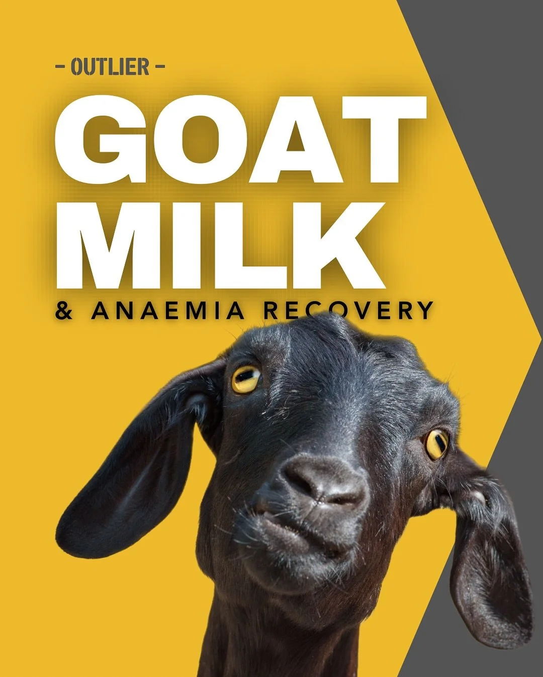 Food isn&rsquo;t just macros and micros&mdash;but also how the foods are structured (matrices) and combined (synergies) that determine impacts on health.

Supporting iron levels is more than just taking ferrous salts. It includes adequate heme-iron i