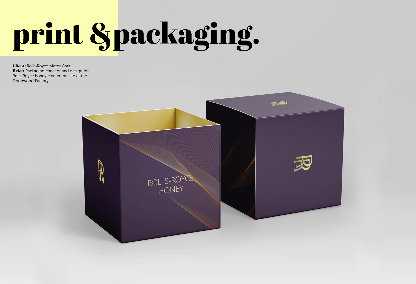 graphics portfolio_2024_V211.png