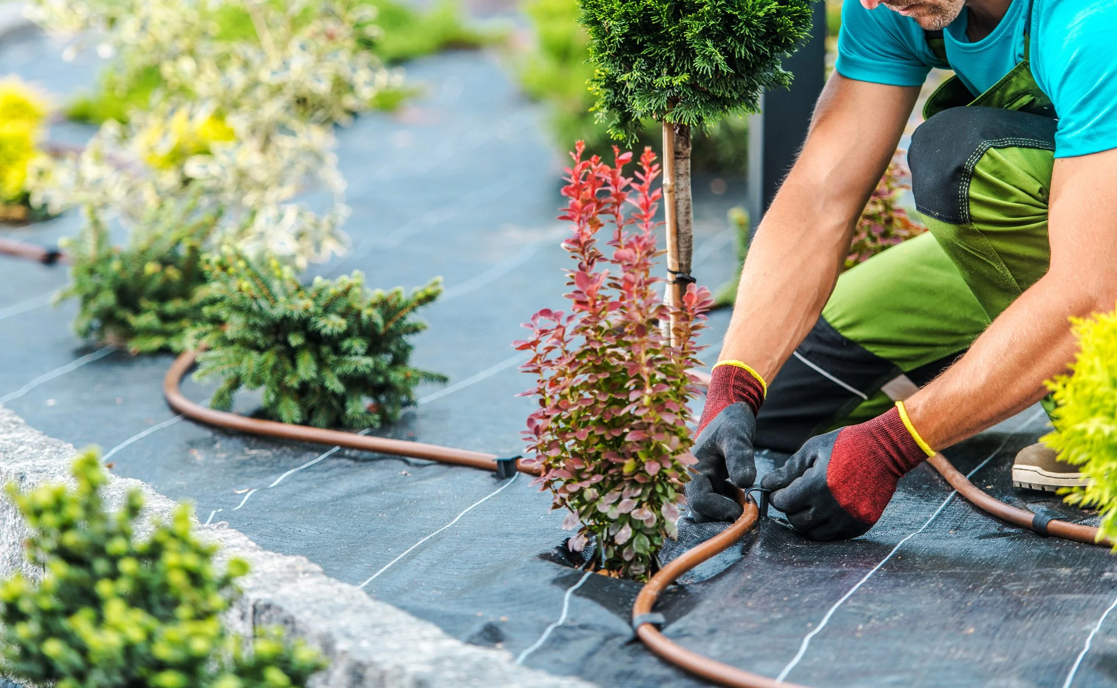 Water-saving Irrigation