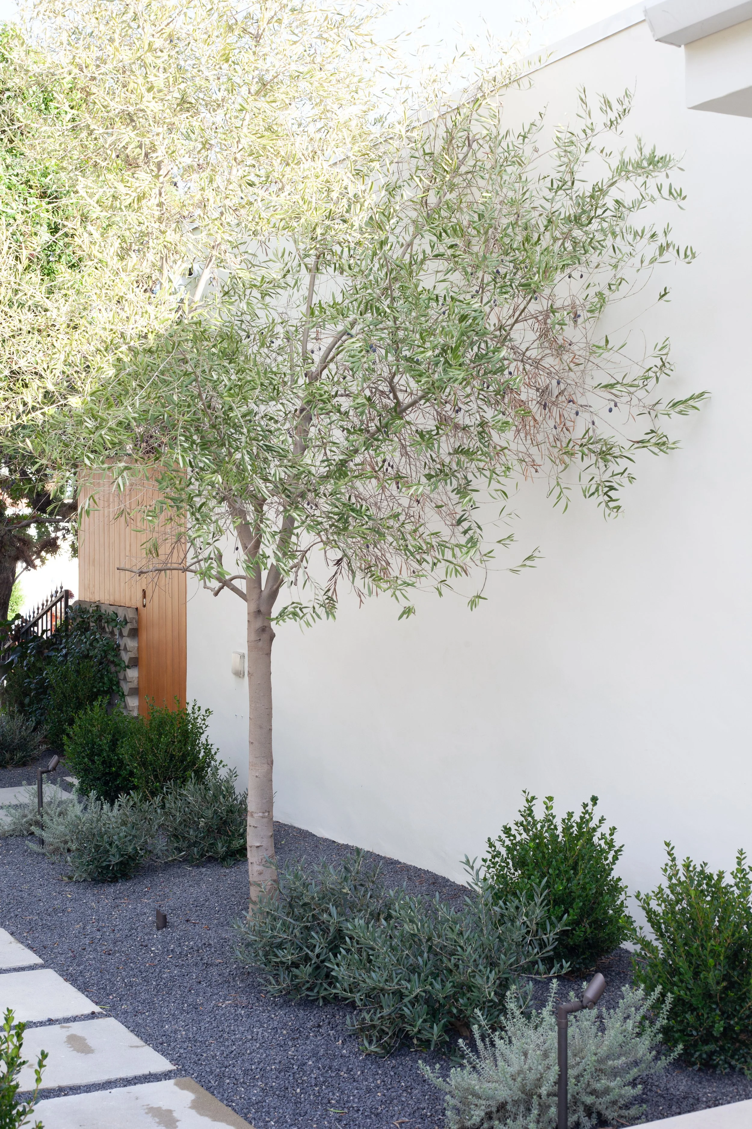 Bella Landscaping - Los 04.jpg