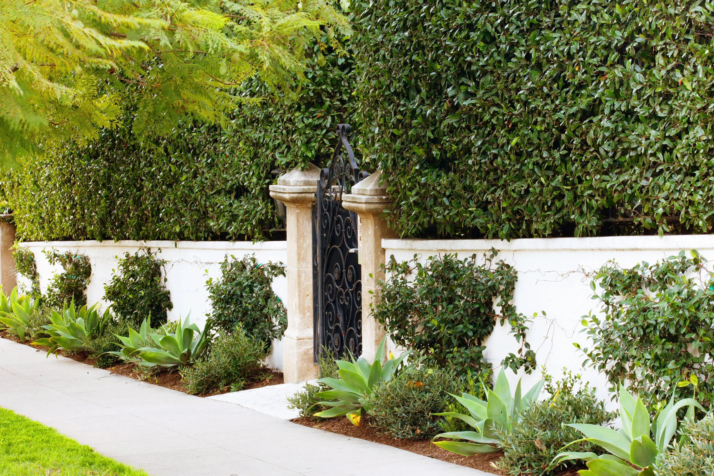 Restored Spanish estate in Hollywood Hills with new vs old terracotta tiles, layers of lush landscaping, lawn space, fire pit lounge, dining and pool.