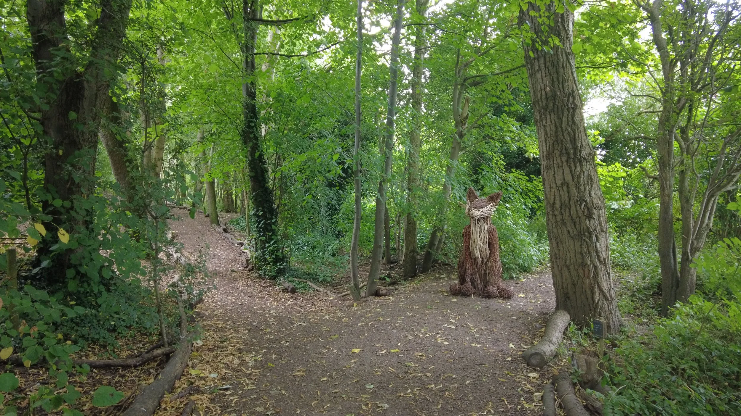 Set up shot for Ain't what it used to be.JPG