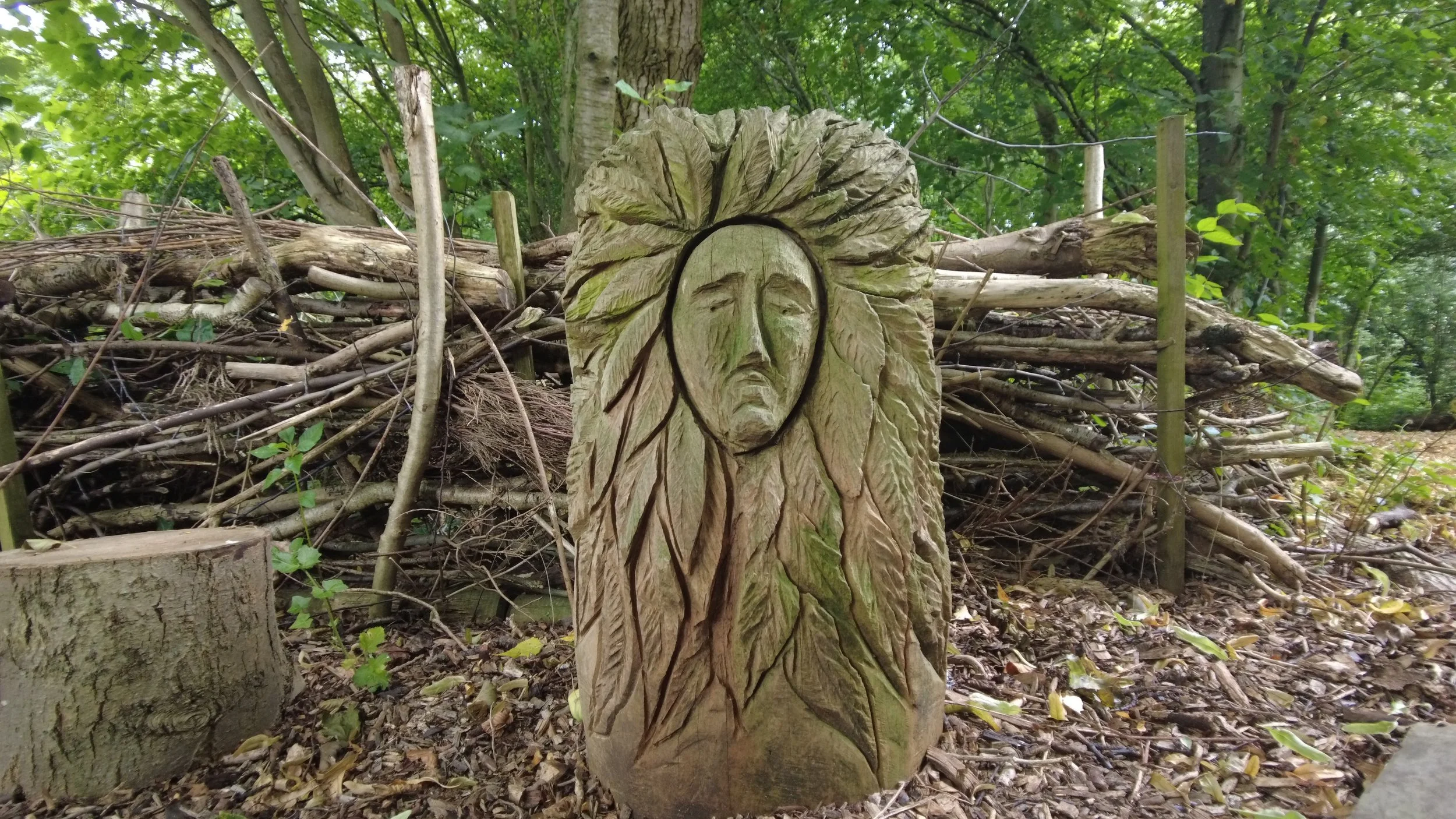 Tree face ephemerality.JPG