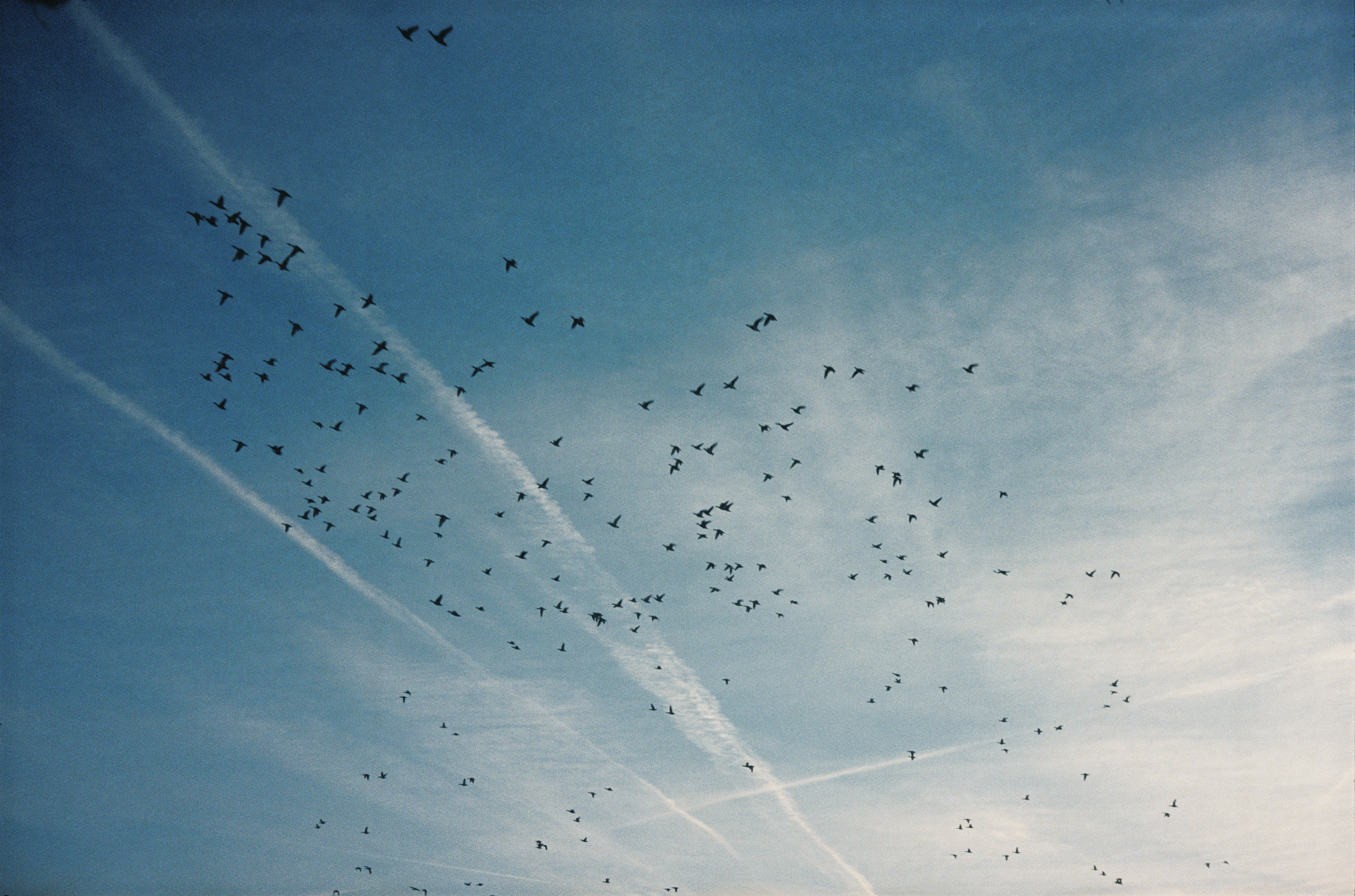 Scherm­afbeelding 2026-01-29 om 12.39.45.png