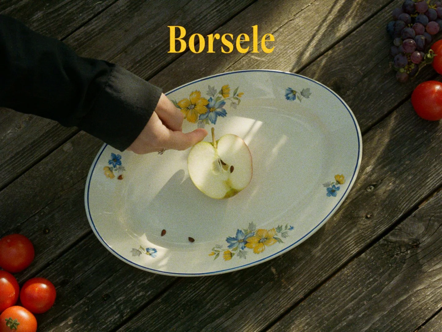 Broedplaats Borsele_1.13.1.jpg