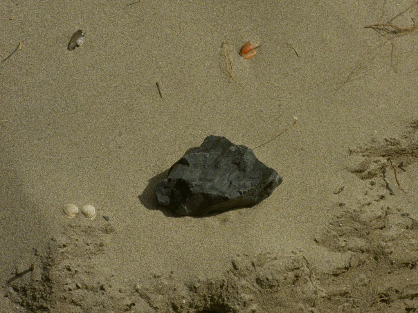 Broedplaats Borsele_1.5.1.jpg
