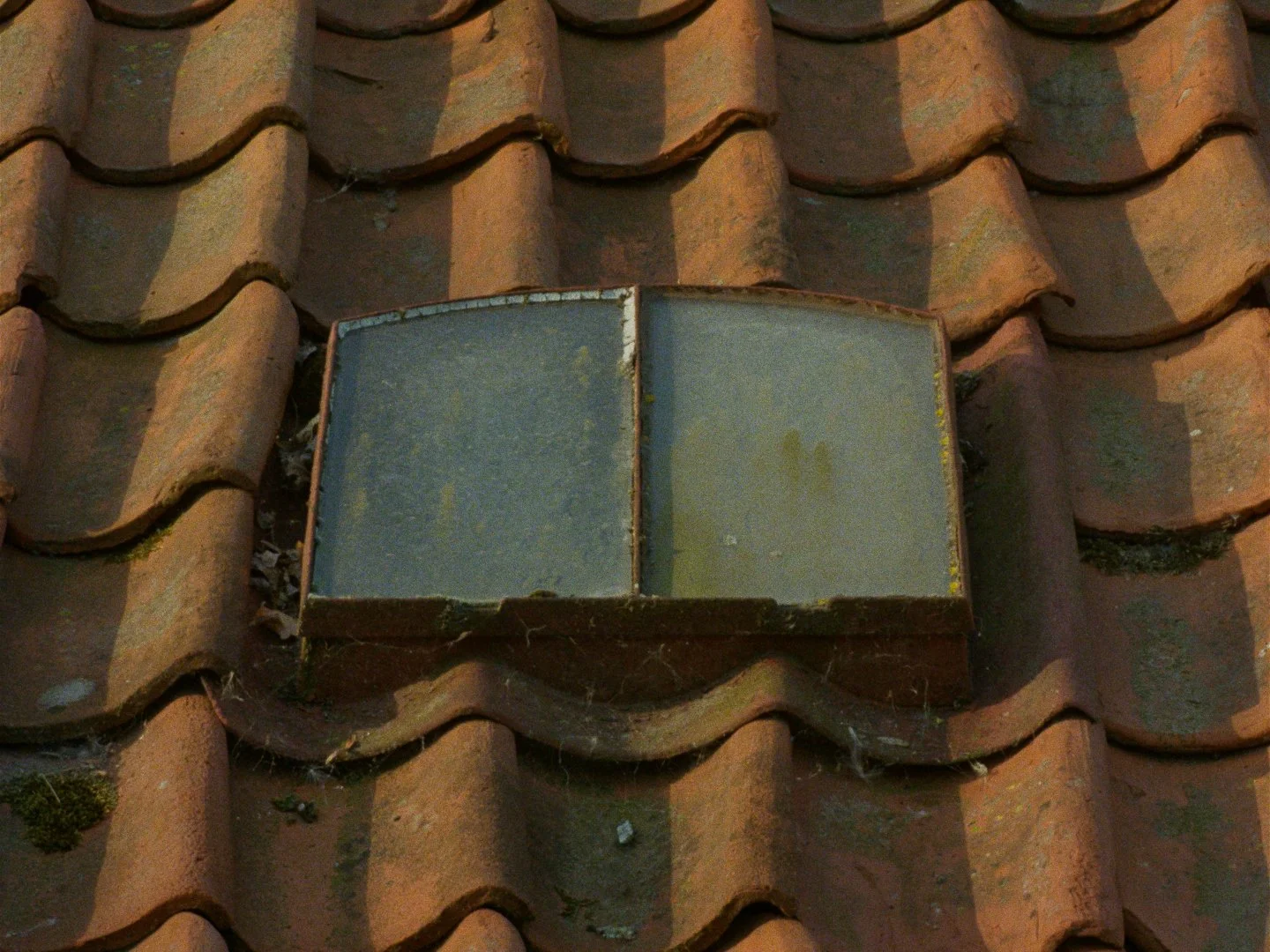 Broedplaats Borsele_1.80.1.jpg