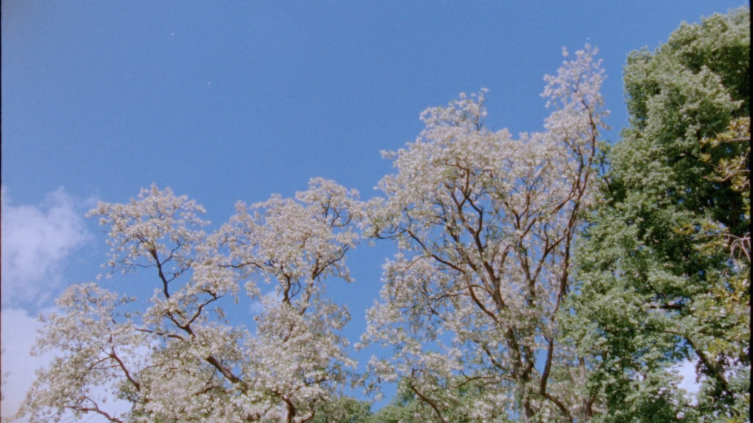 Geluid Van Binnenuit