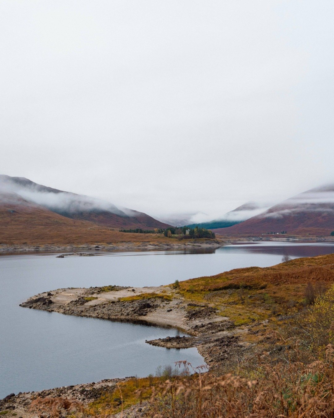 This is what your 2026 views could look like... 👀