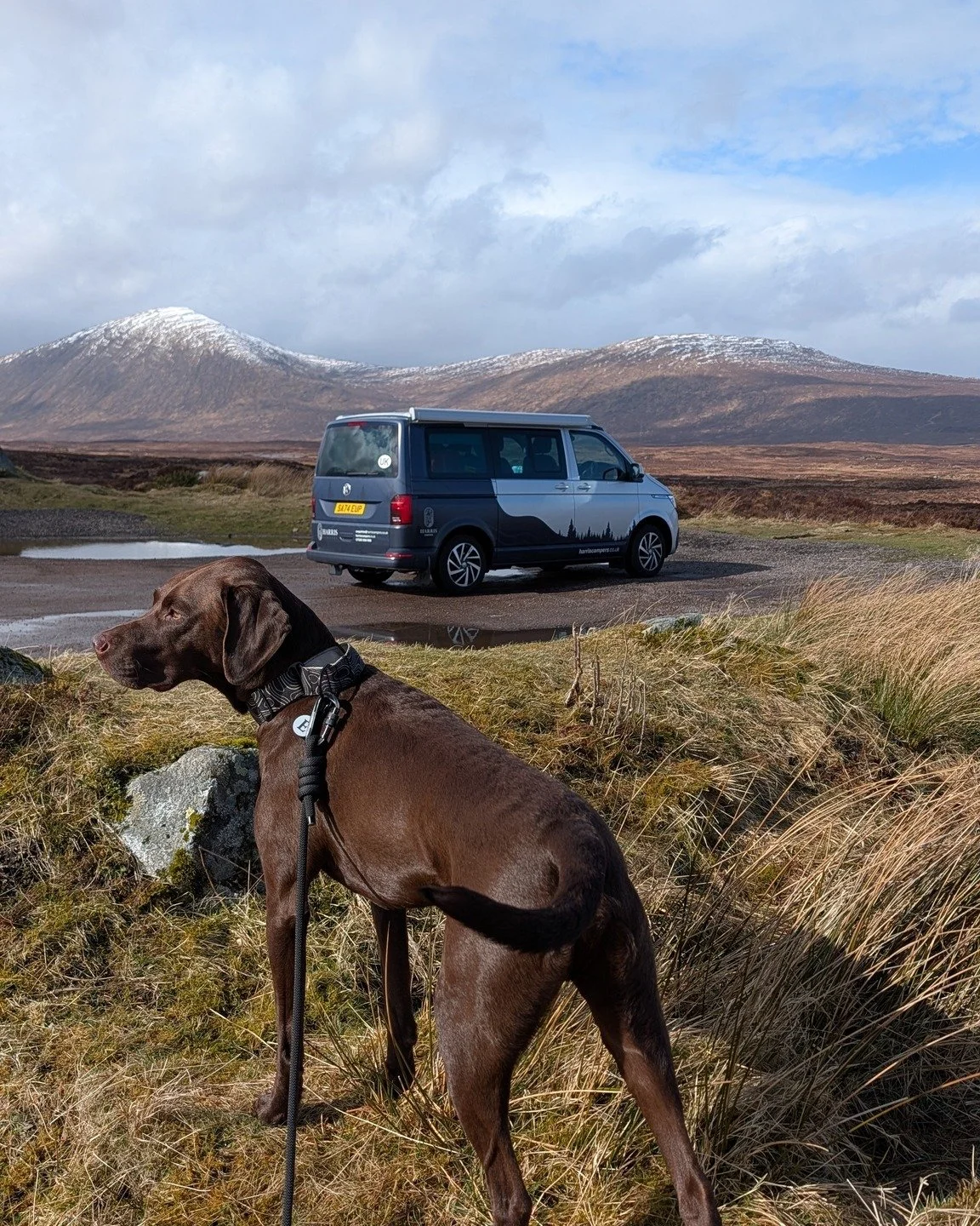 POV: You go on a campervan trip with your furry friend 🐶🚐