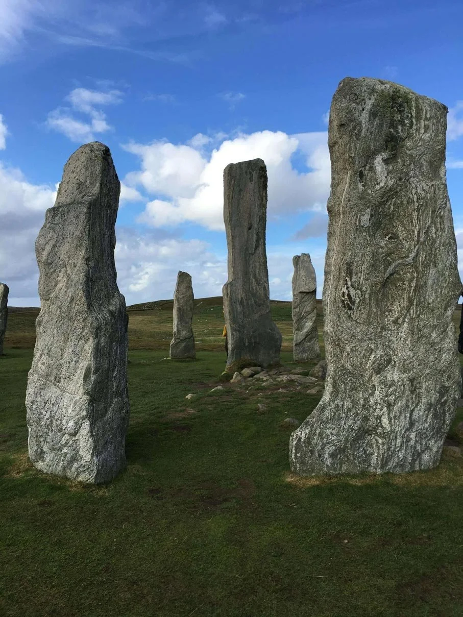 harris_trips_6.jpg
