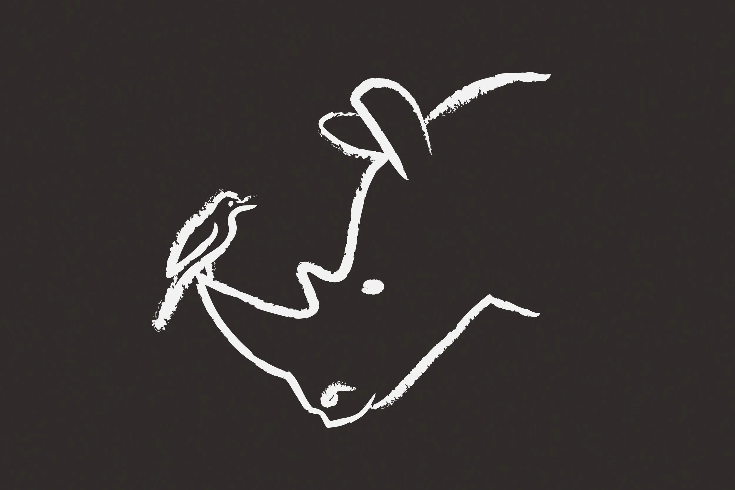 African Conservation Experience