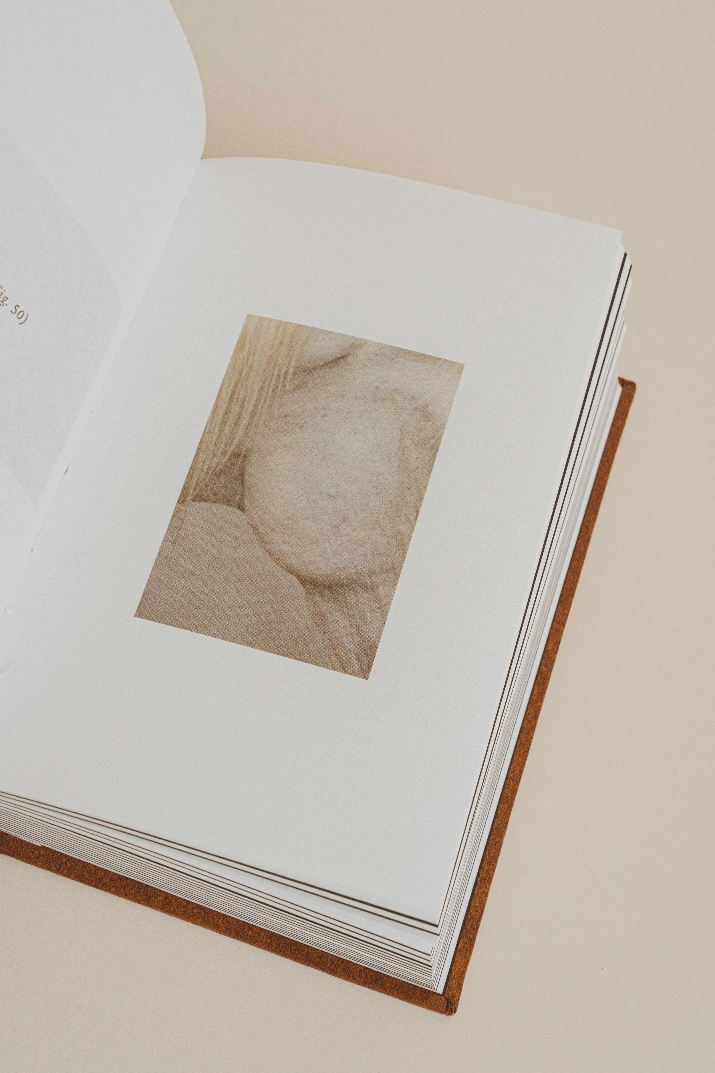 Livre Anatomie Visuelle du Cheval