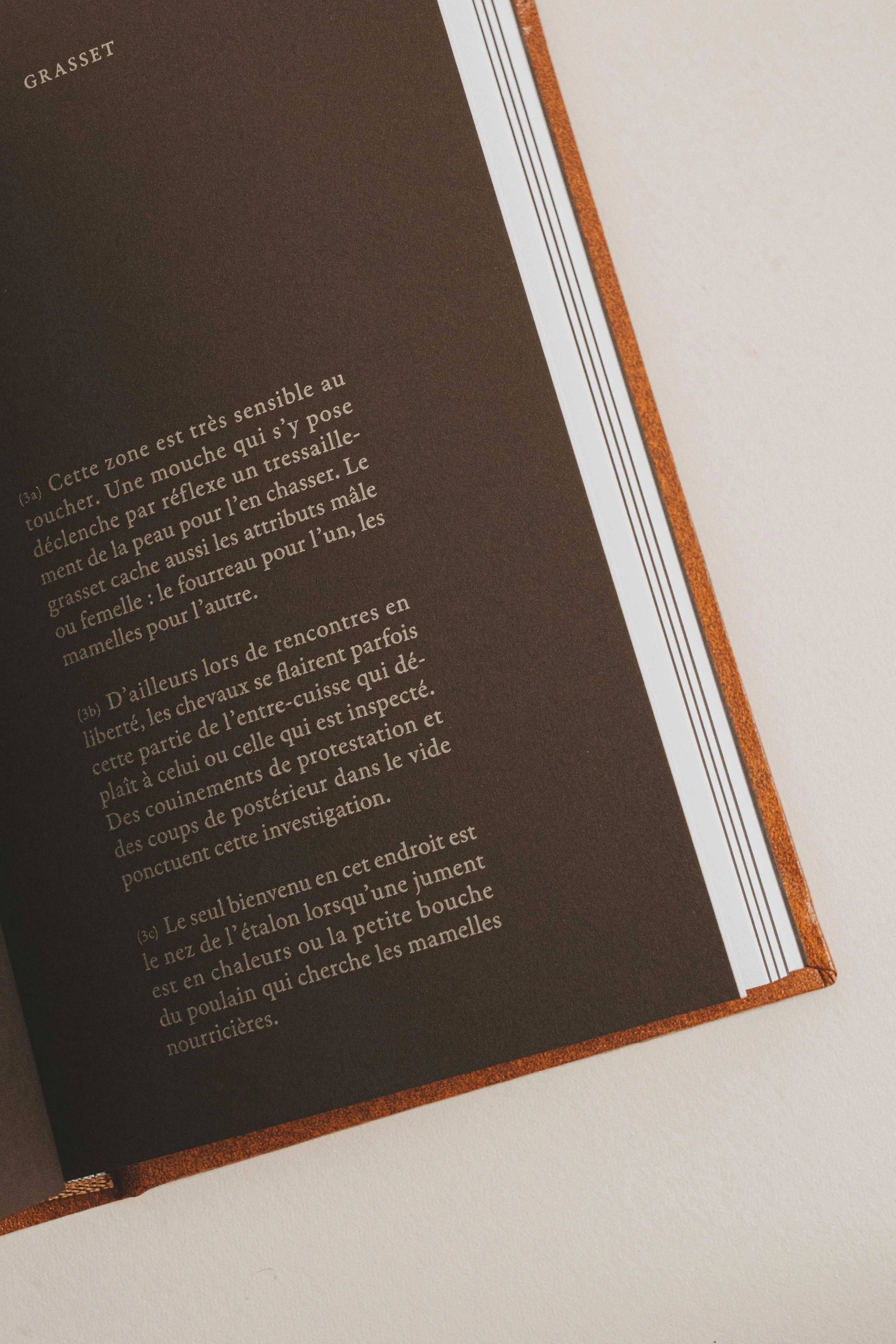 Page d'un livre avec texte en français, marges blanches, pages brunes, coins arrondis, évoquant un livre sur la nature ou la faune.