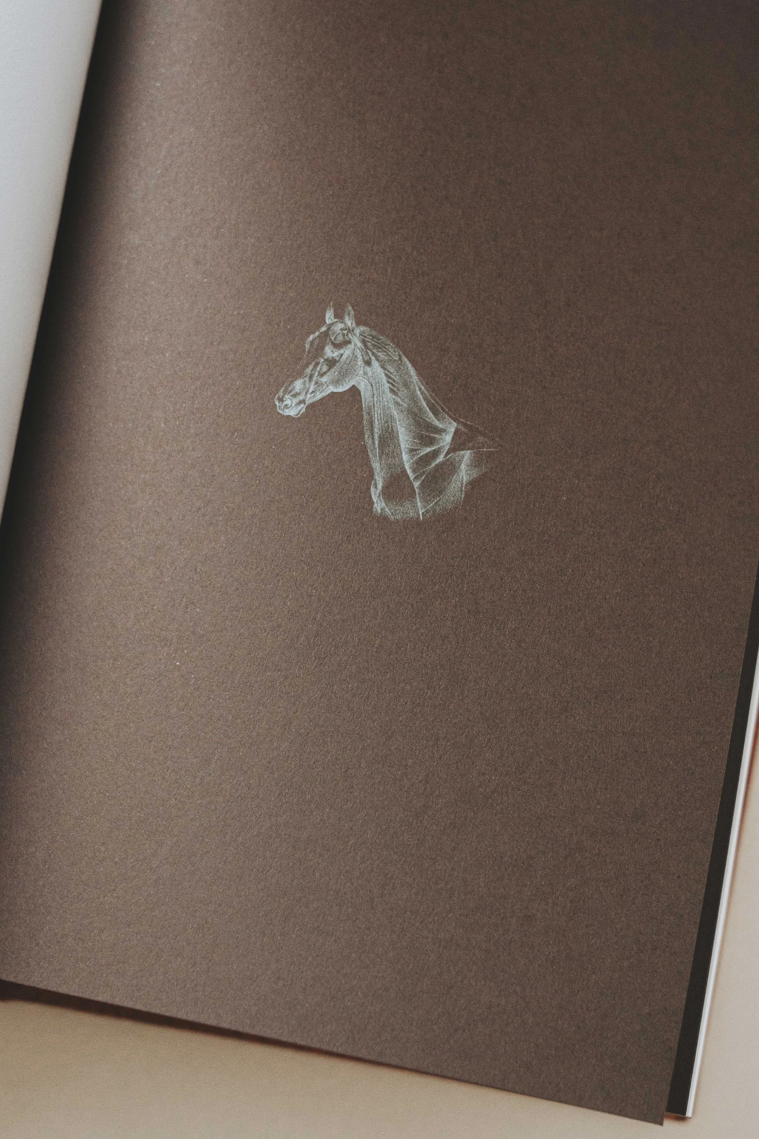 Dessin d'une tête de cheval en blanc sur une page de livre ou de carnet brun