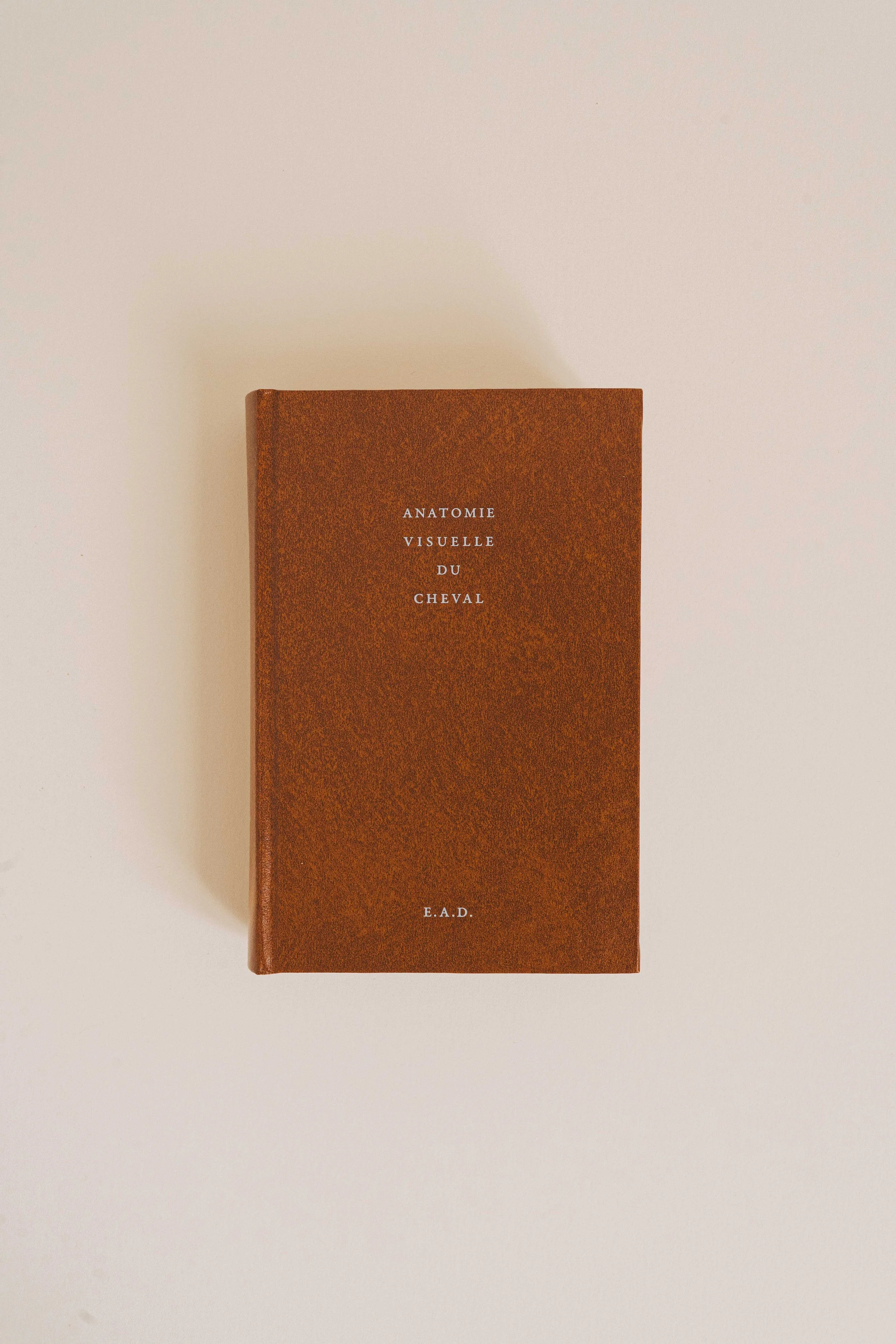 Anatomie Visuelle du Cheval