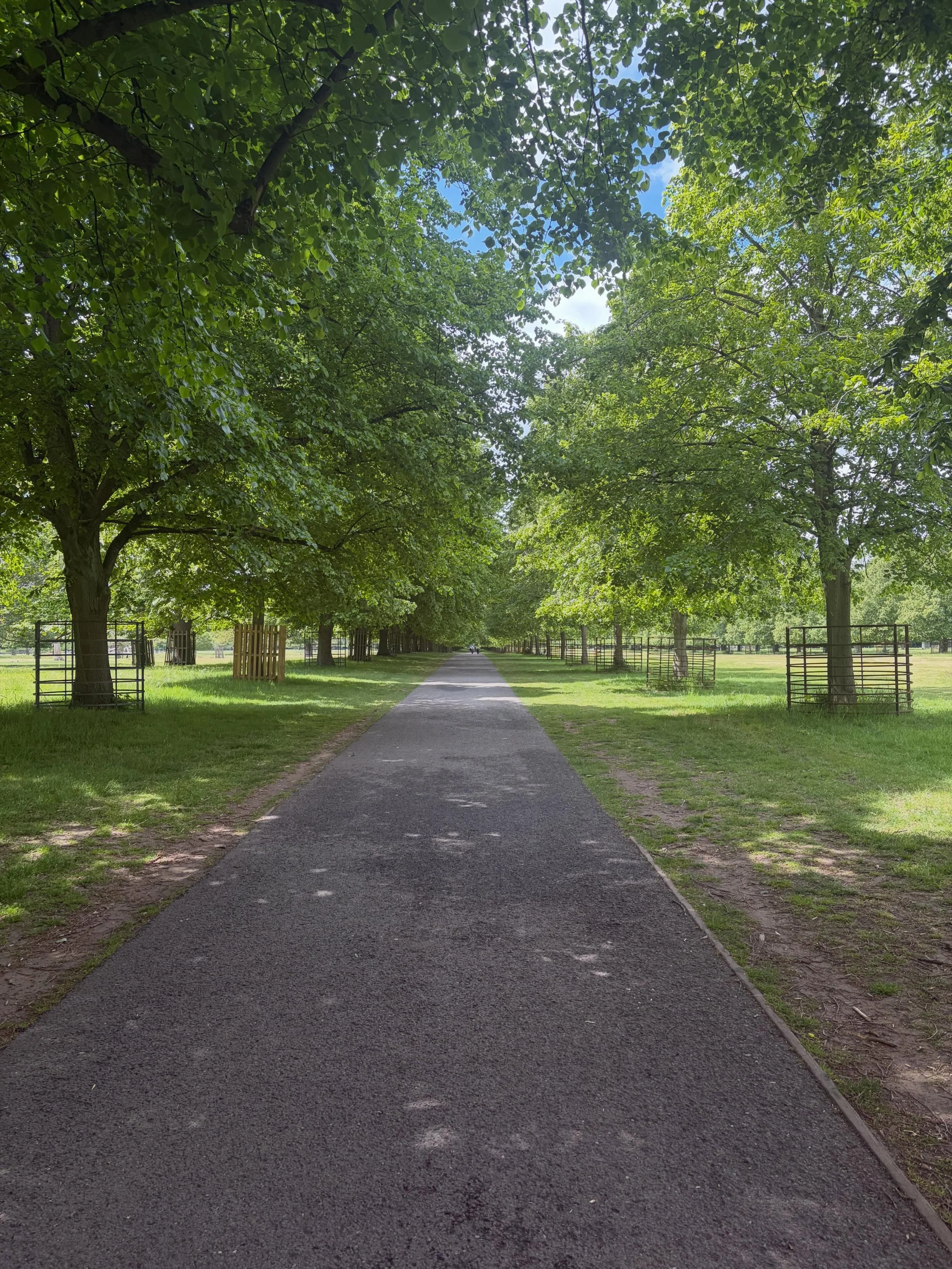 2026&hellip;. Week 19

&bull; Beautiful Bushey Park for a Sunday stroll 
&bull; Big kid climbing trees 😆
&bull; New Moon charging water and crystals
&bull; She watched Mama Mia and loved it&hellip;. Watched it again
&bull; Then watched Mama Mia Here