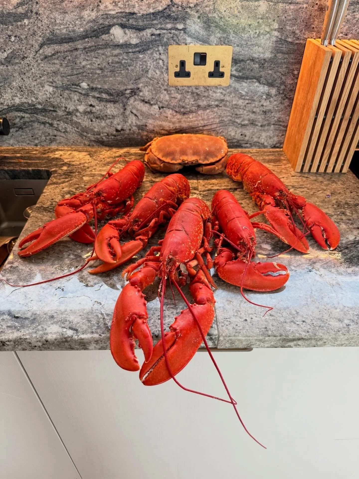 Some of our haul of lobster (and a couple of mackerel) from last summer. Plus a cheeky photo I grabbed of a similar crustacean for sale in @broadwaymarket @finandflounder - costs a lot to transport to London, so very lucky to have such treasures righ