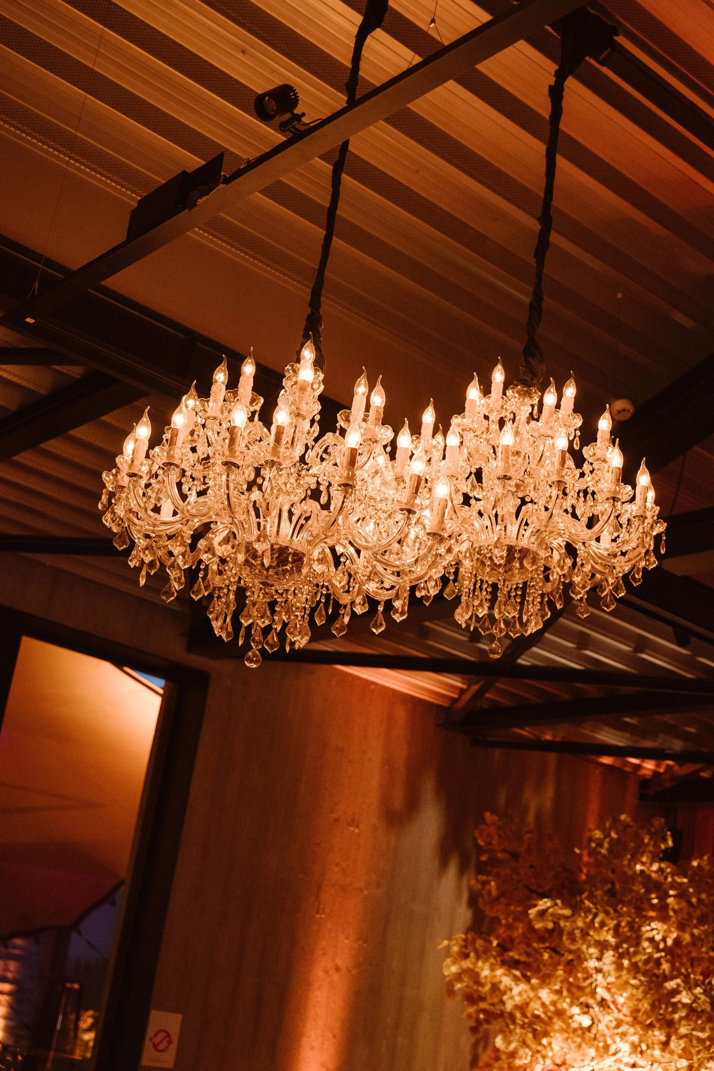 WhatsApp Image 2025-09-17 at 08.04.20.jpeg