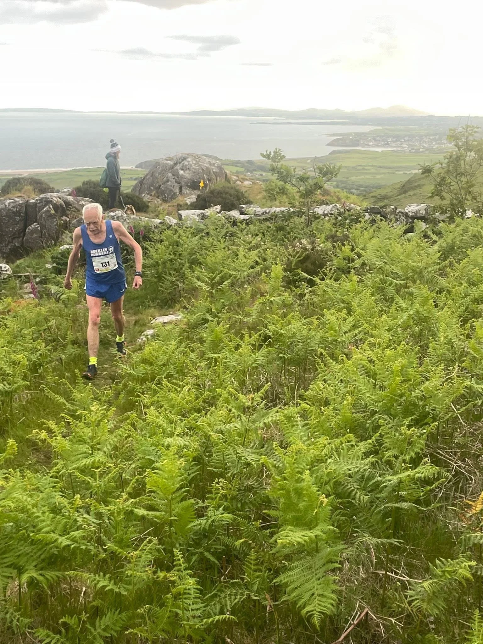 Ras Moel y Gest