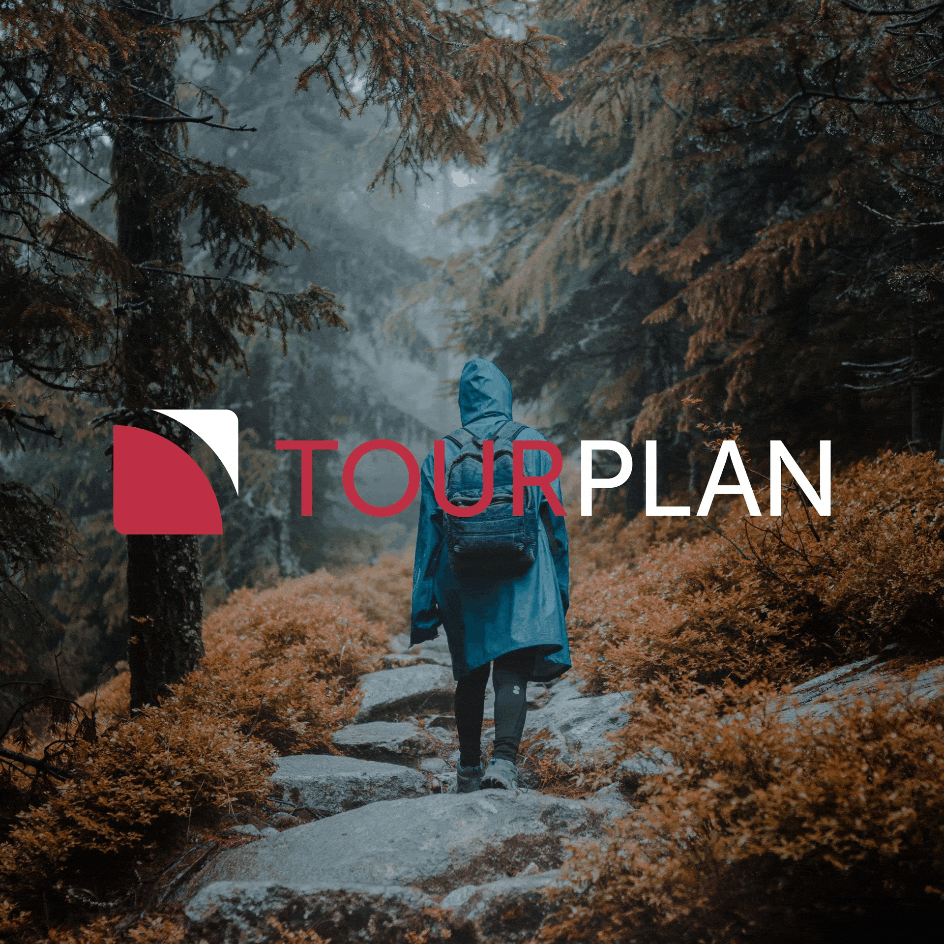 A gallery featuring branding, advertising, signage, banners, and stationery from various businesses that have utilized Hitchcock Michalski's services.