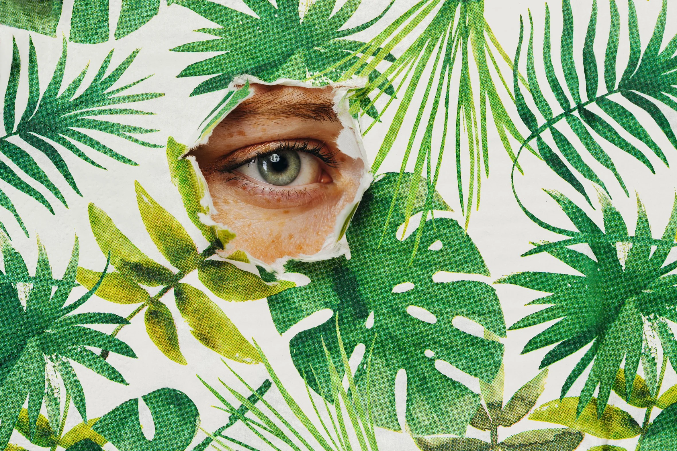 Eye peeping through a hole in leafy decorated paper.  Symbolising a check on everyting, even hidden elements, that may influence a business brand.